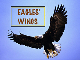 Eagles' Wings, Harry D. Jacobs High School
